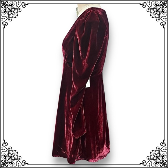 TULAROSA Mini Empire Waist Velvet Dress - Size S / NWT - Picture 5 of 11
